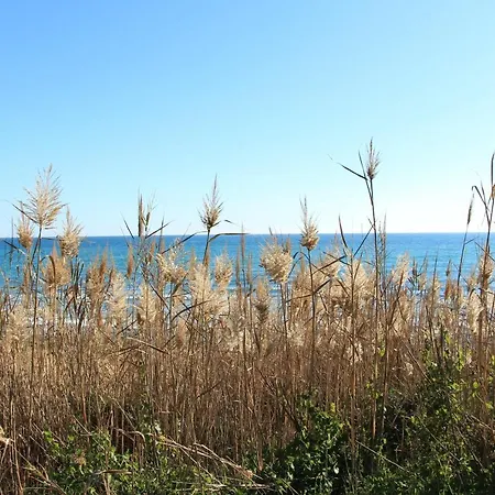 Apartamento Da Falesia Appartement Albufeira